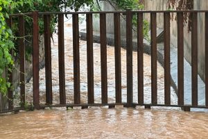 WhatsApp Image 2026-02-27 at 10.33.43