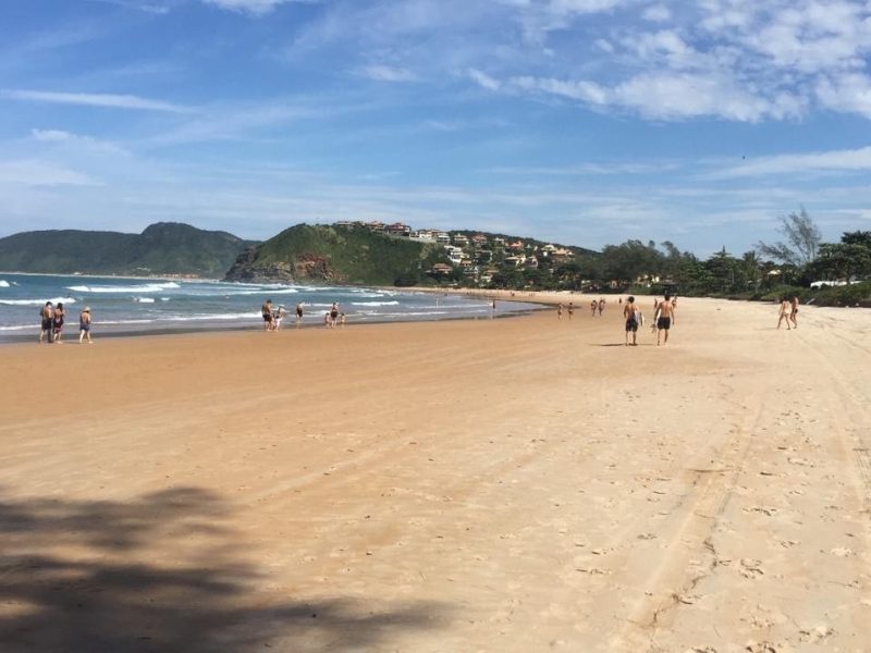 ca5a01a1-998a-466c-bfe8-458dcc8a9f6f