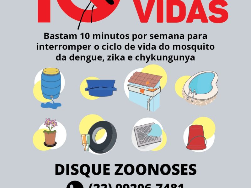 dicas-dengue-2-01