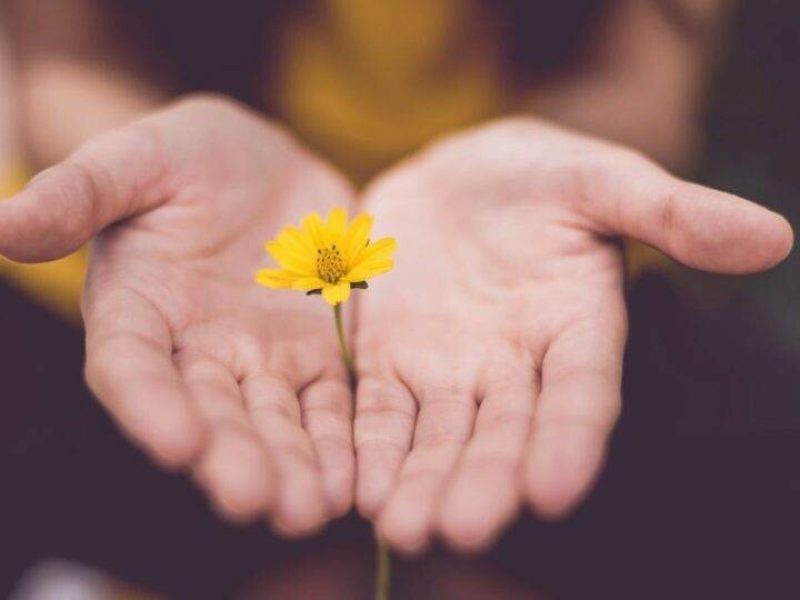 esperanca-saudavel-960x540