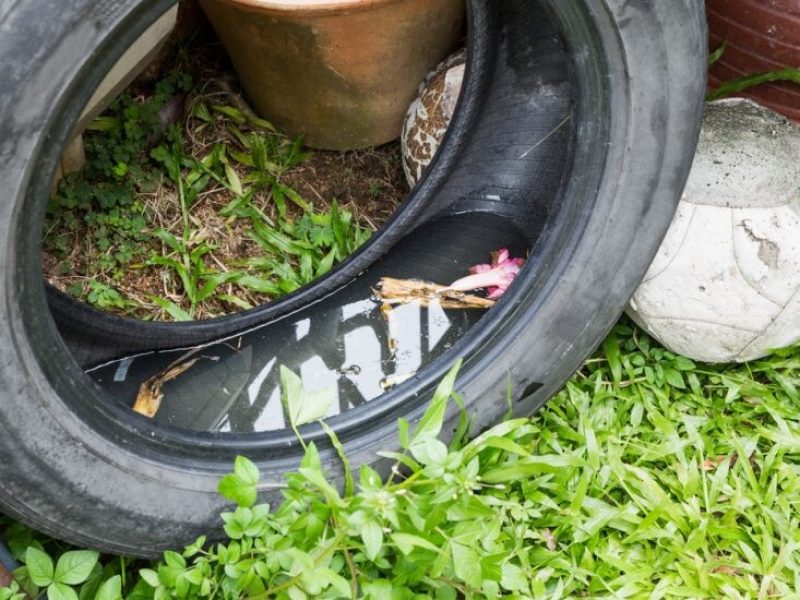 pneu-um-dos-responsaveis-pela-dengue-no-brasil-990x550