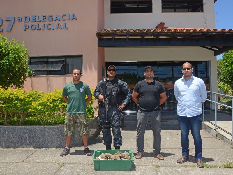 retirada de corais Meio A 005