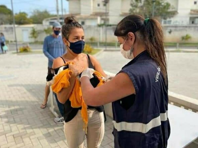 vacinação de animais em Búzios