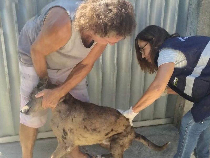 vacinacao-domilicar-em-Buzios